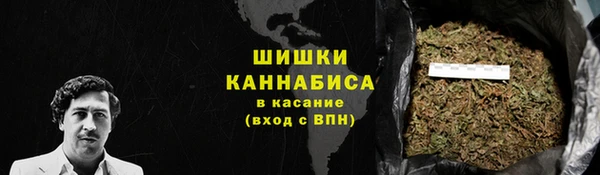 спайс Мегион
