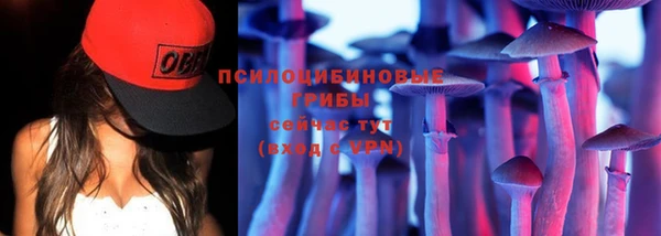 спайс Мегион