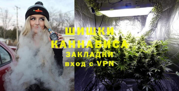 шишки Ессентукская