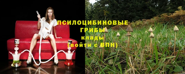 крисы Медногорск