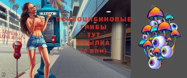 спайс Мегион