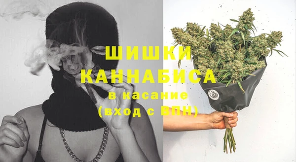 индика Сосновый Бор