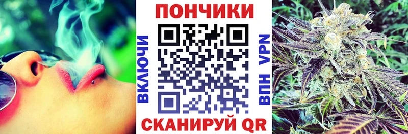 Бошки Шишки THC 21%  ссылка на мегу ссылки  Тарко-Сале 